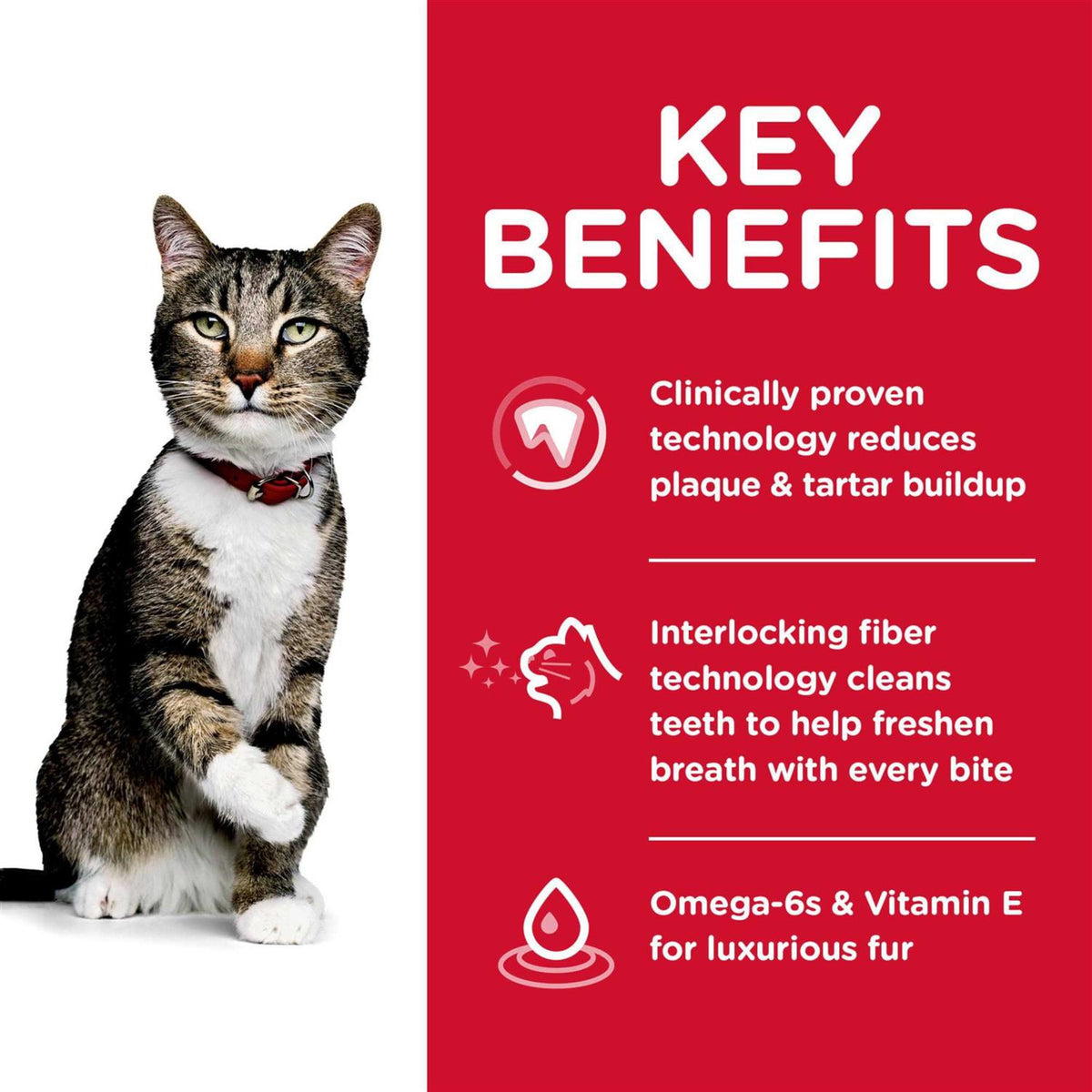 Adult Dry Cat Food V65188