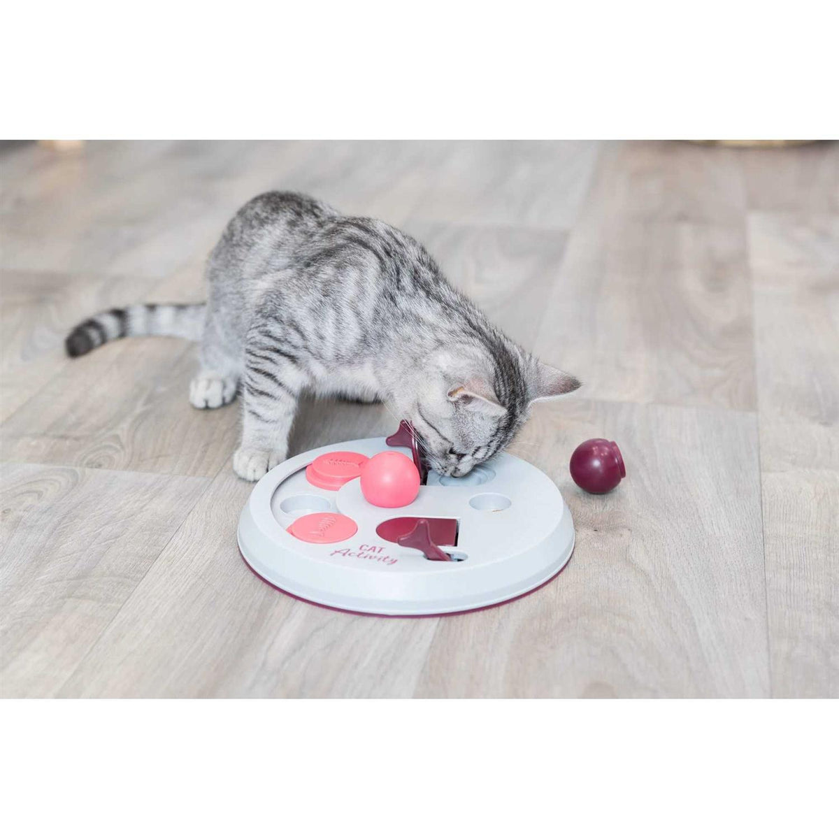 Cat Activity Flip Board S7224