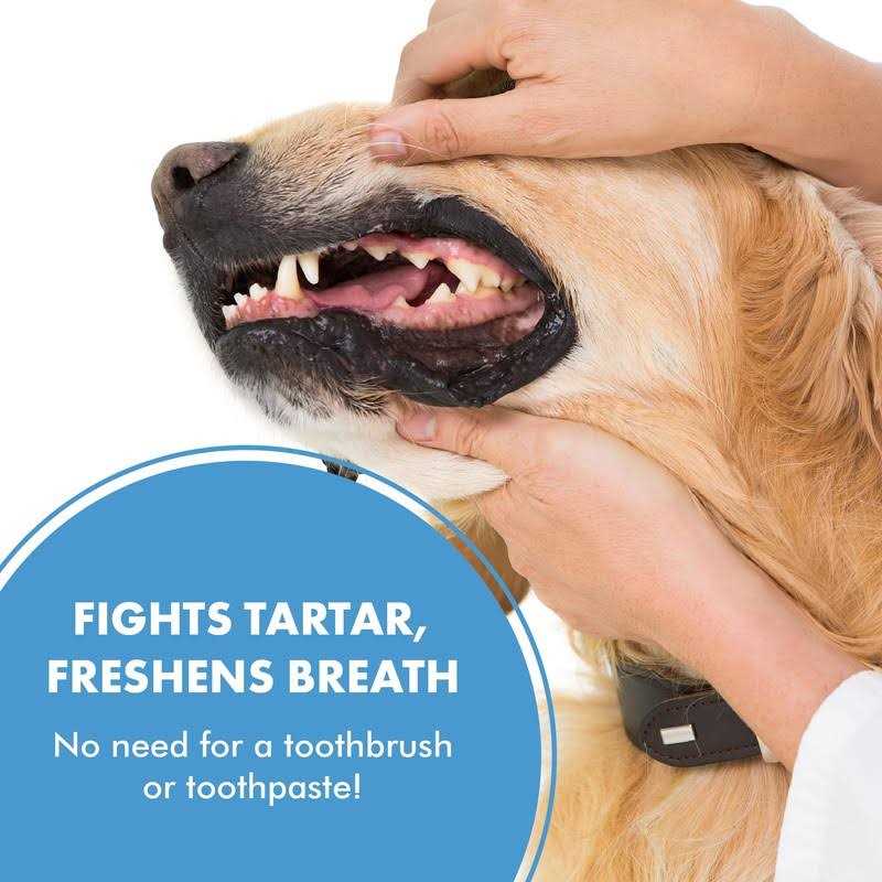 Pet Teeth & Gum Spray for Dogs & Cats G5319