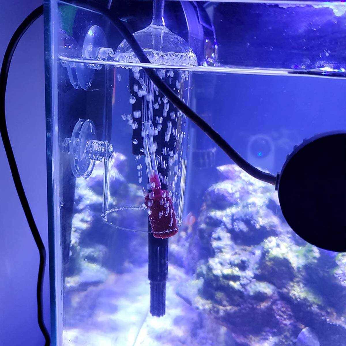 Aquarium Air Oxygen Bubbler Glass Cup with Water Tube I399757