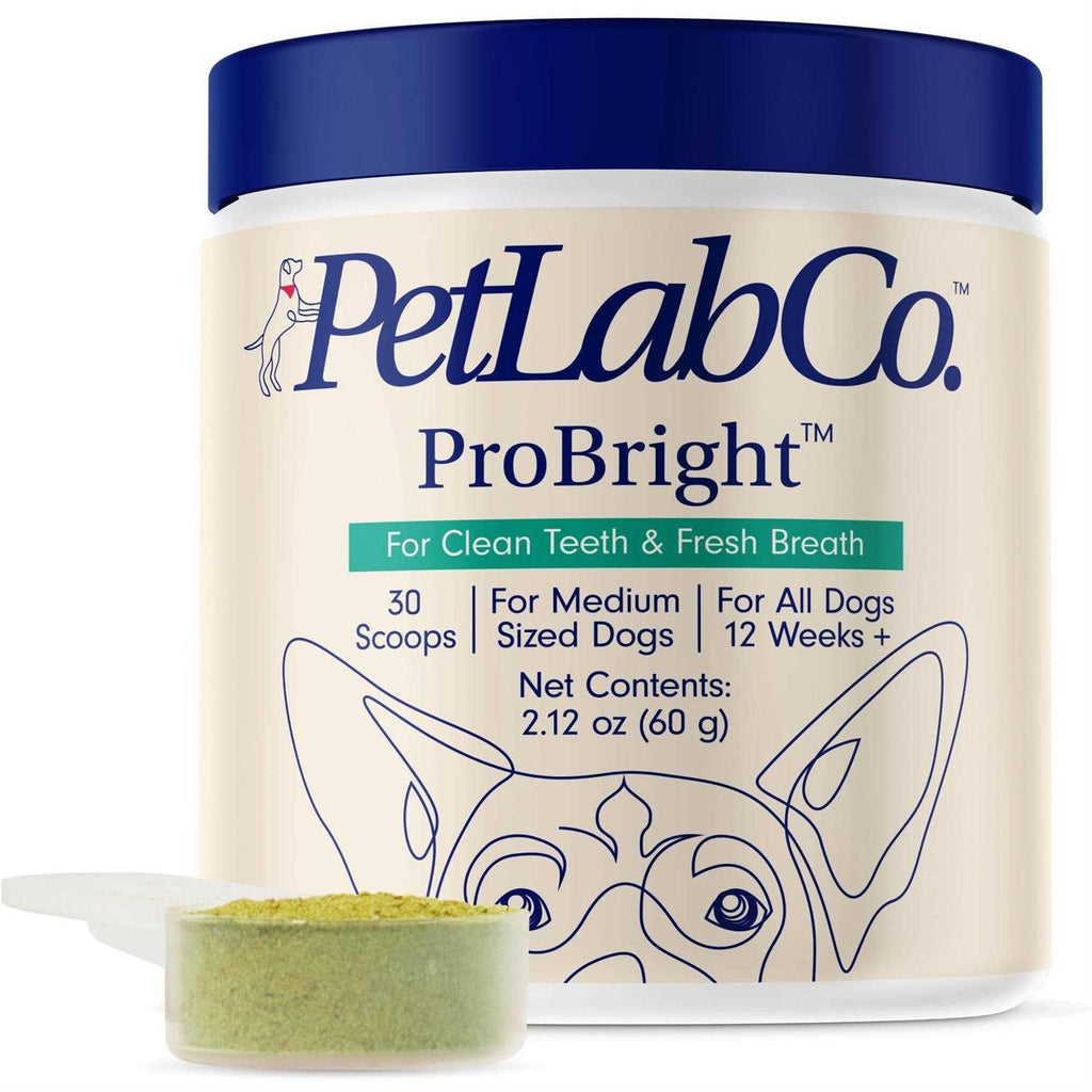 Dog Dental Powder B79477