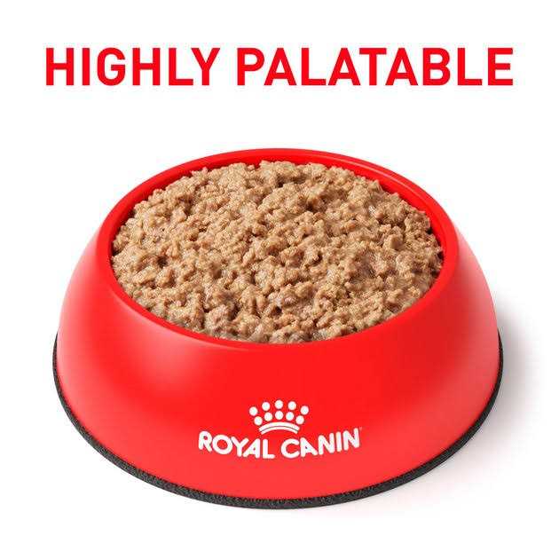 Canned Cat Food T3217