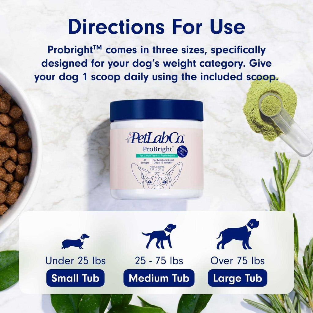 Dog Dental Powder B79477
