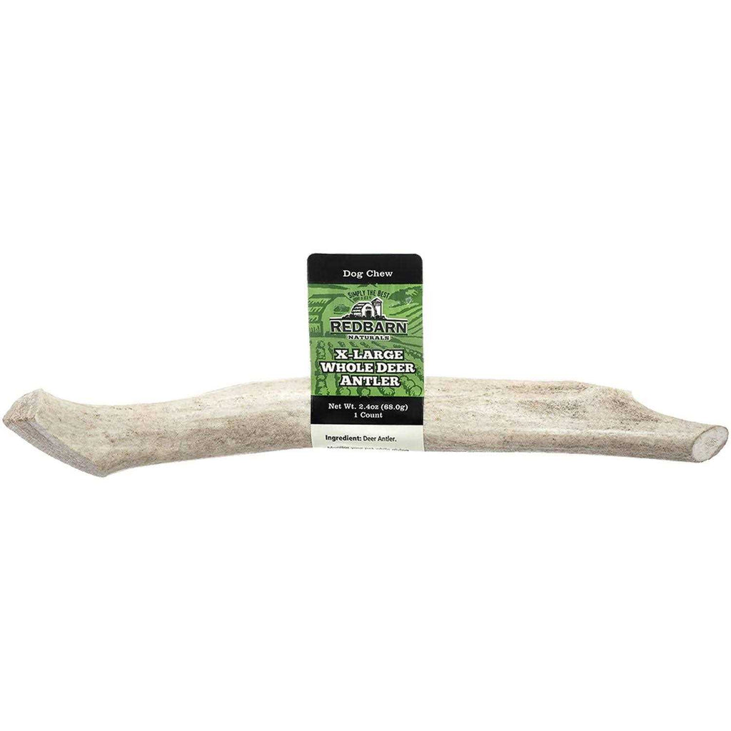 Deer Antler W618579