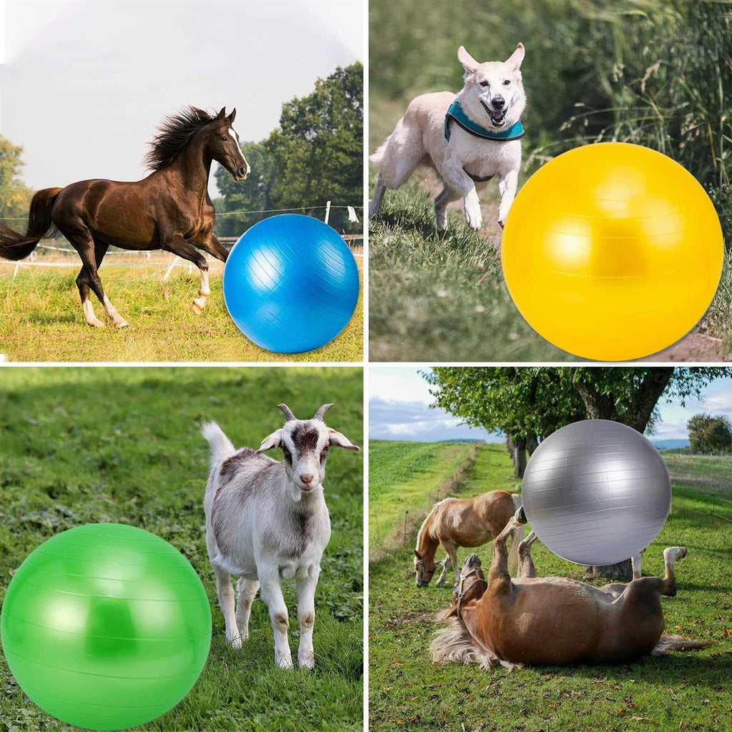 30 Inch Anti-Burst Horse Herding Ball with Pump W185674