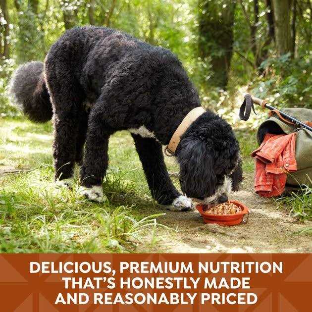 Grain Free Wet Dog Food G3590