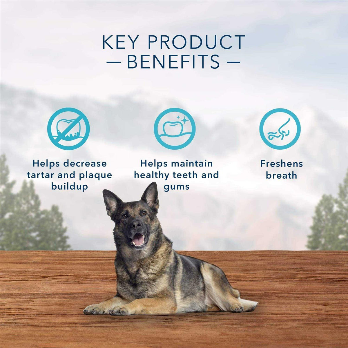 Dog Treats G130