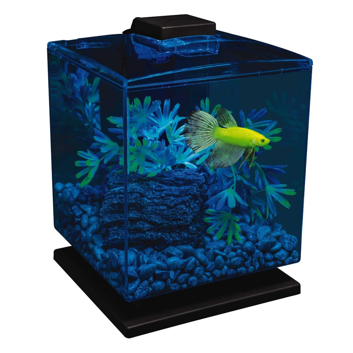 Aquarium Kit T909