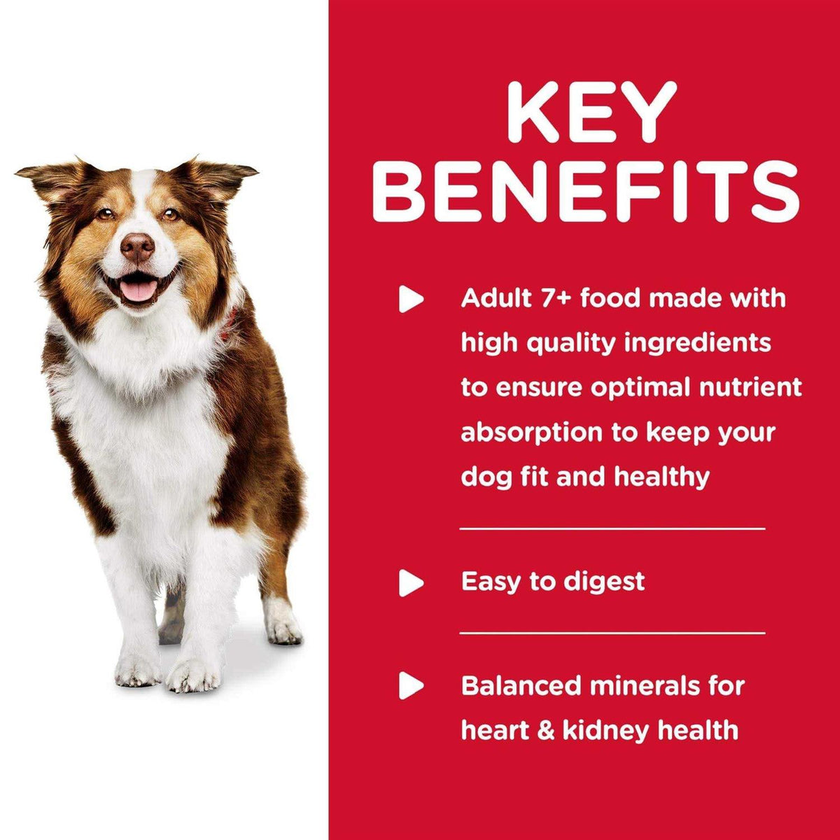 Adult 7+ Beef & Barley Dog Food T448