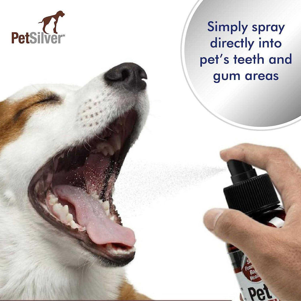Pet Teeth & Gum Spray for Dogs & Cats G5319