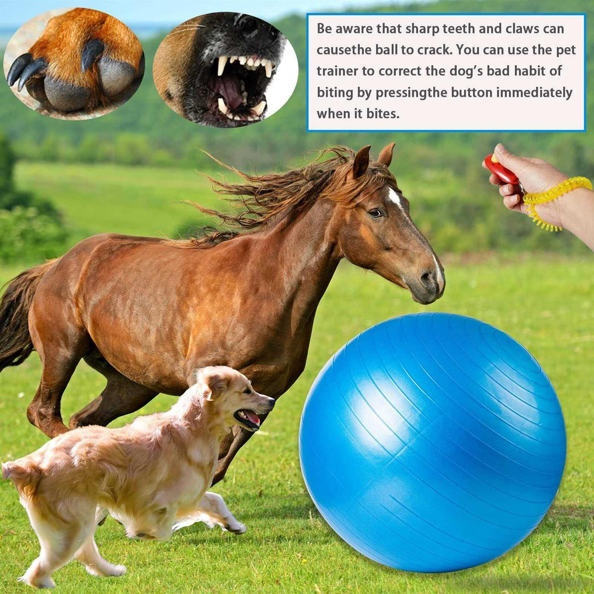 30 Inch Anti-Burst Horse Herding Ball with Pump W185674