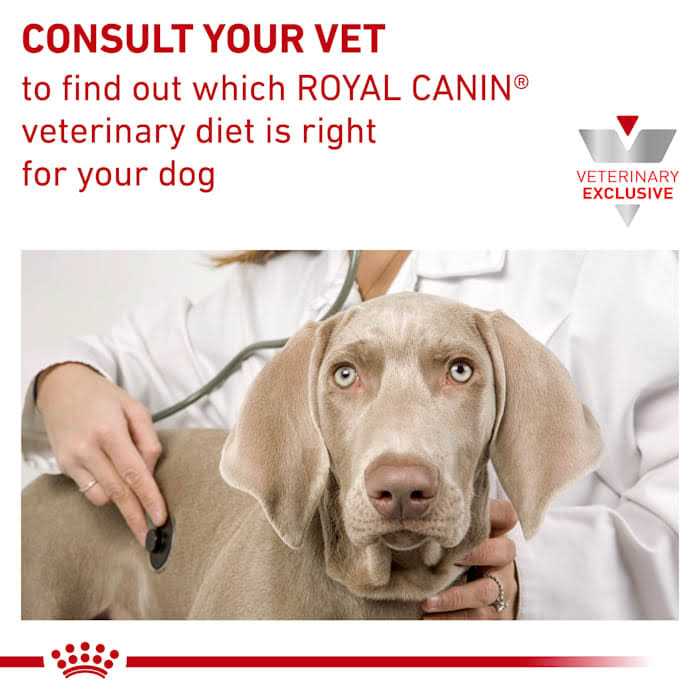 Gastrointestinal Canine Treats C901
