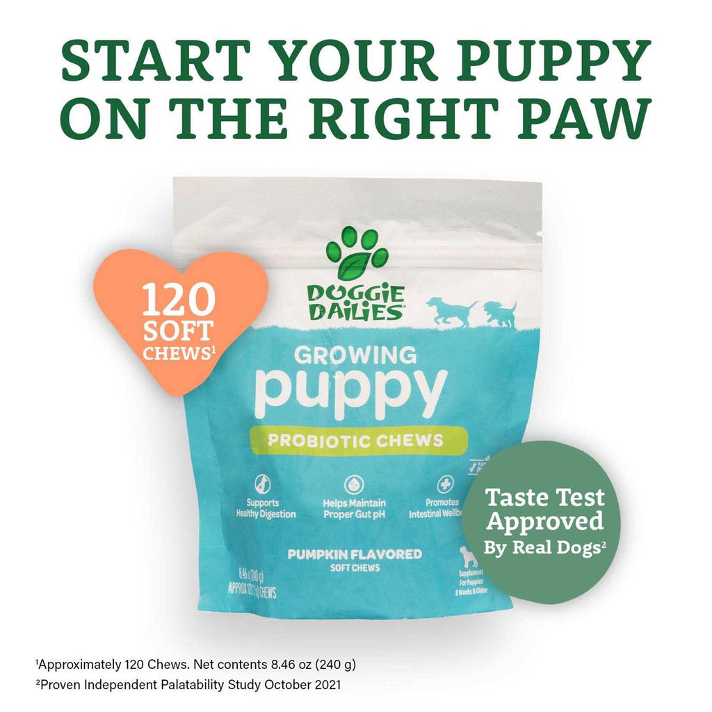Puppy Probiotic with Digestive Enzymes G6748