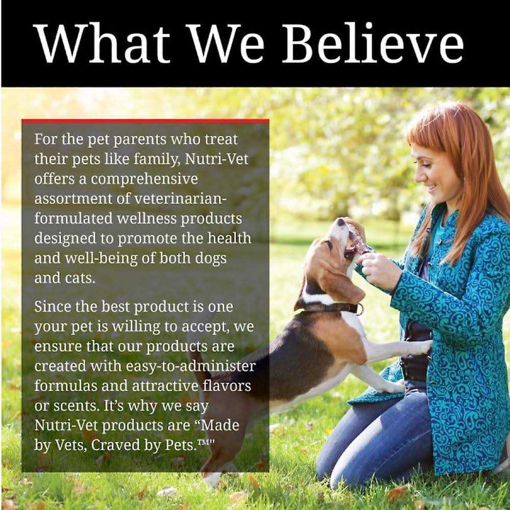 Pumpkin Dog Supplement Q977944