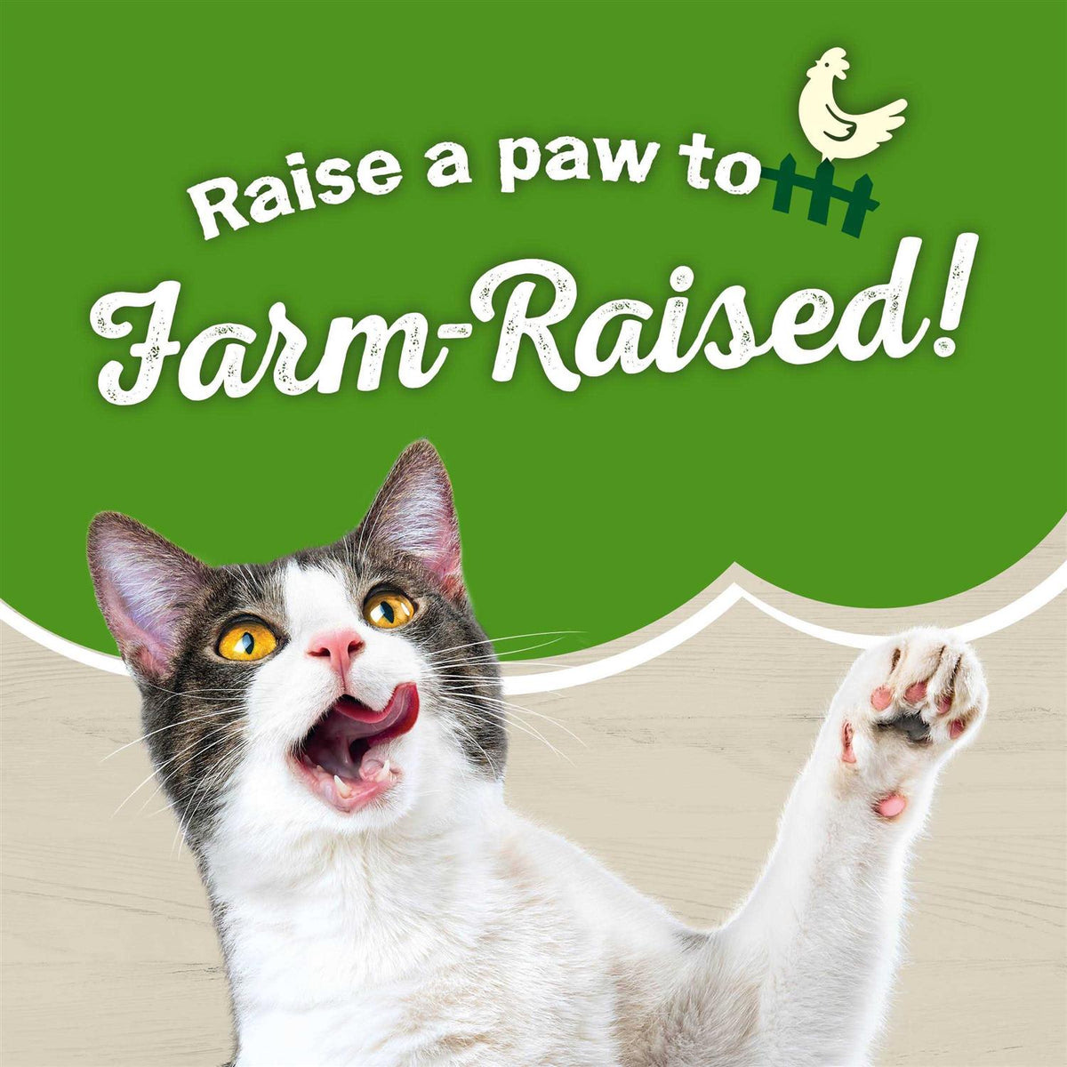 Dry Cat Food with Chicken L133180