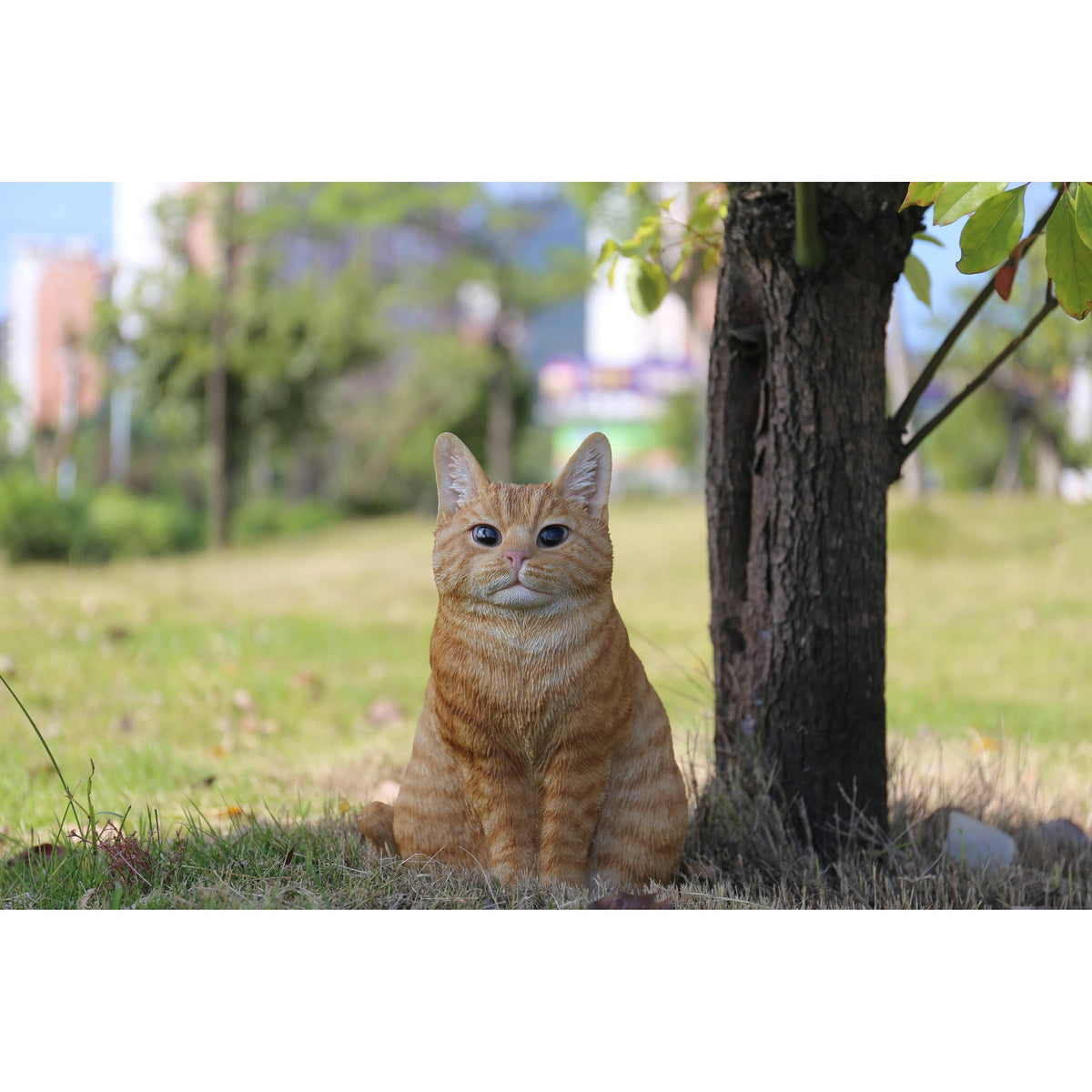Orange Tabby Cat Sitting Q8547