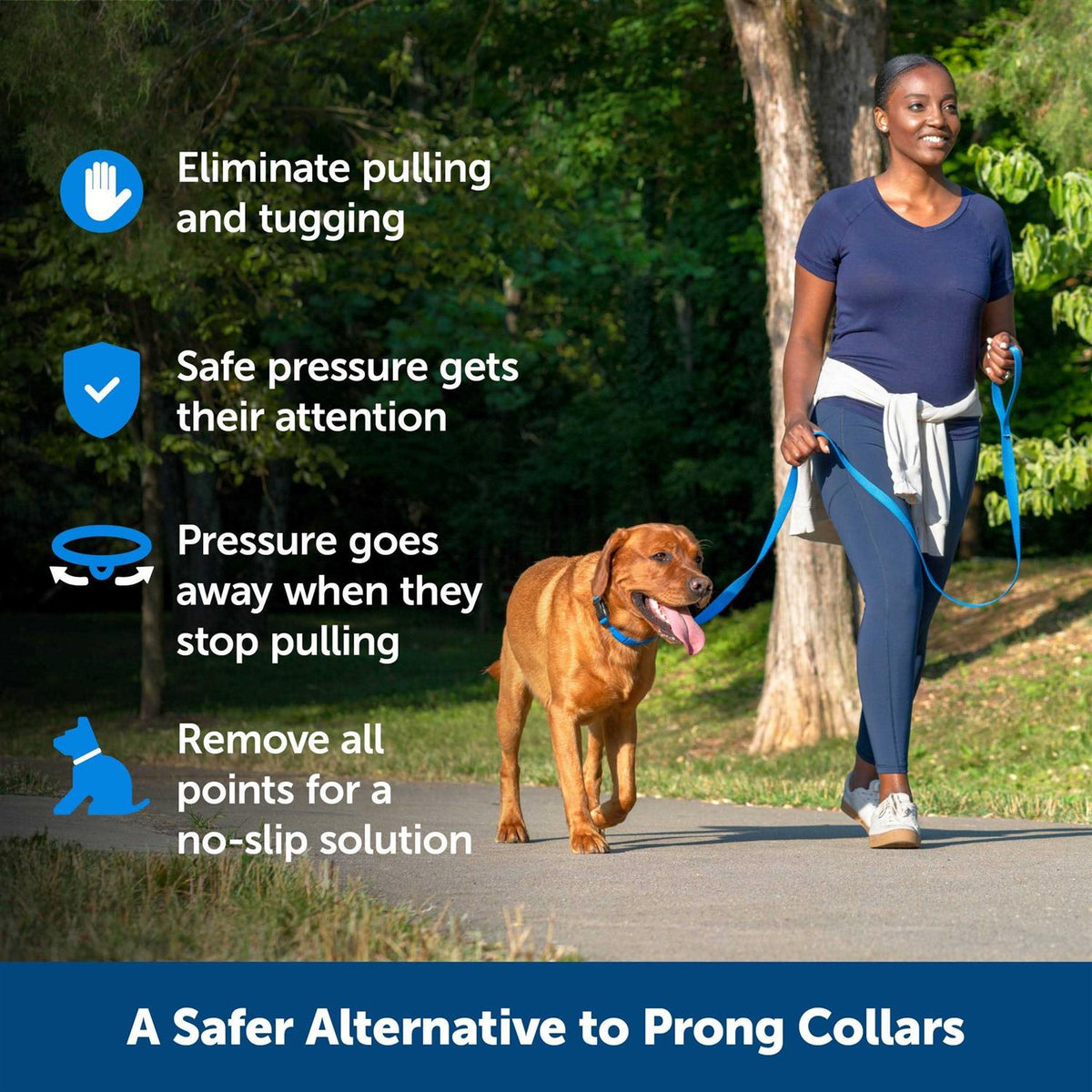Soft Point Training Collar B503