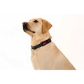 Limited Slip Collar A5787