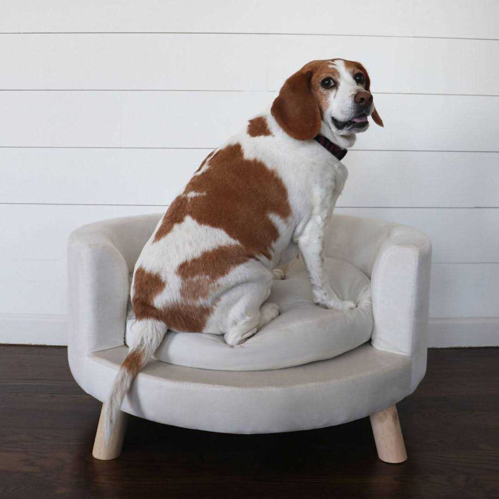 Faux-Velvet Circular Pet Bed Z3224