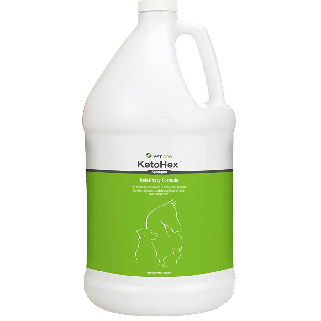 Shampoo P509897