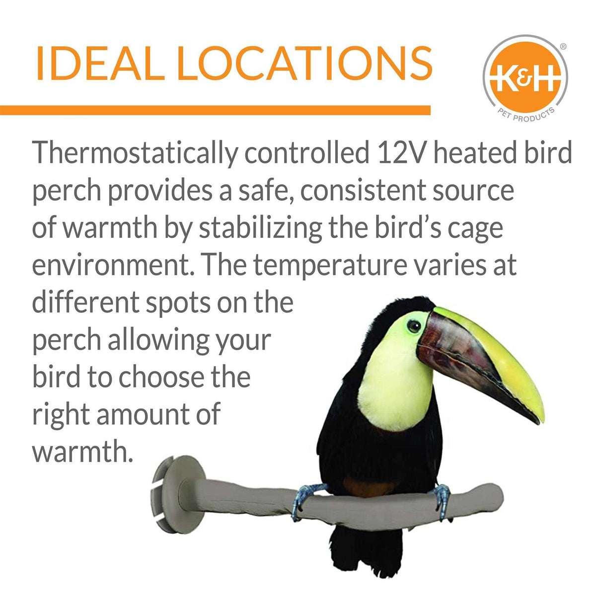 Bird Thermo-Perch G12297