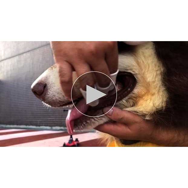 Dog Cat Finger Toothbrush F418836