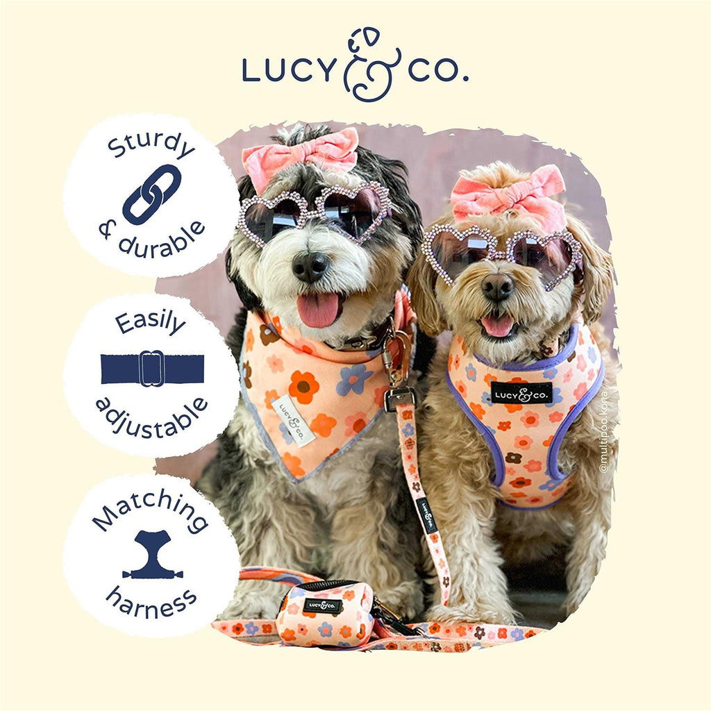 Adjustable Dog Collar L47006