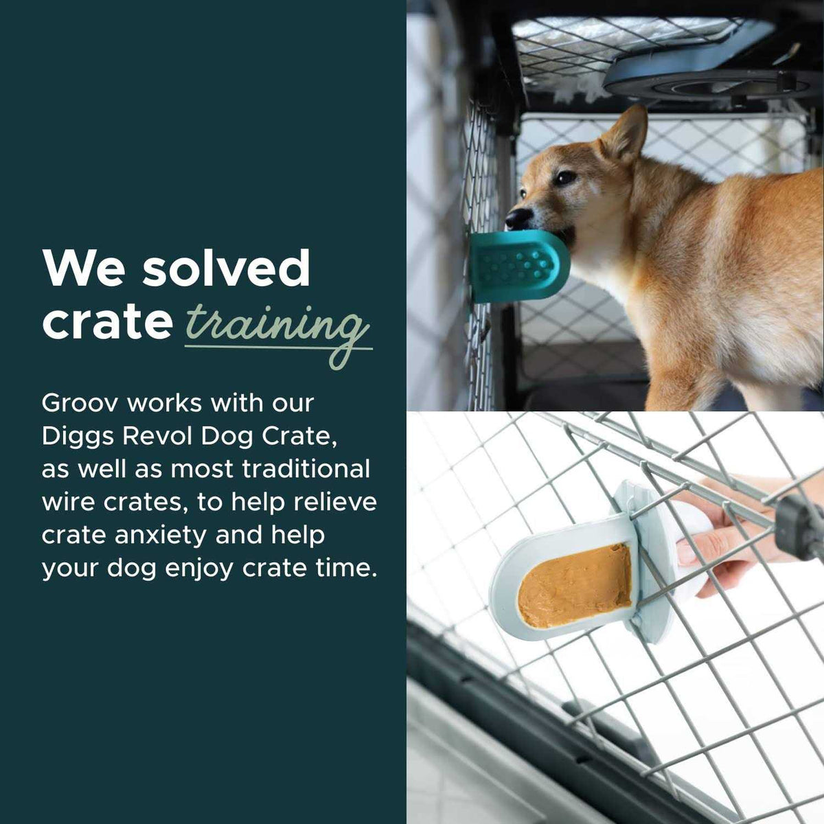 Dog Crate Training Aid P66266