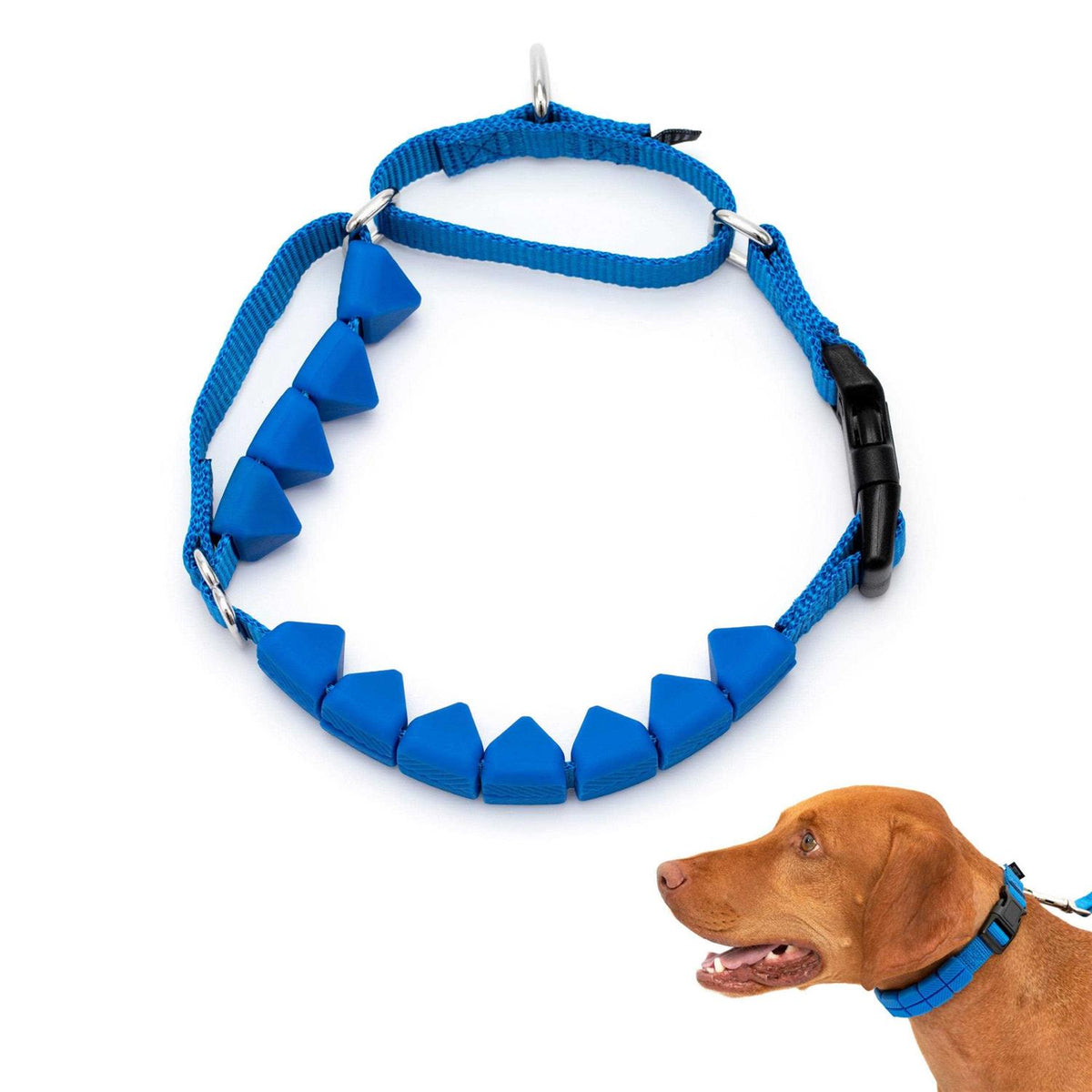 Soft Point Training Collar B503
