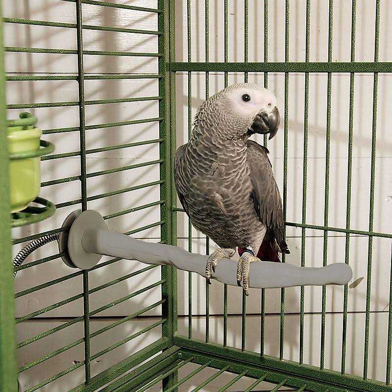 Bird Thermo-Perch G12297