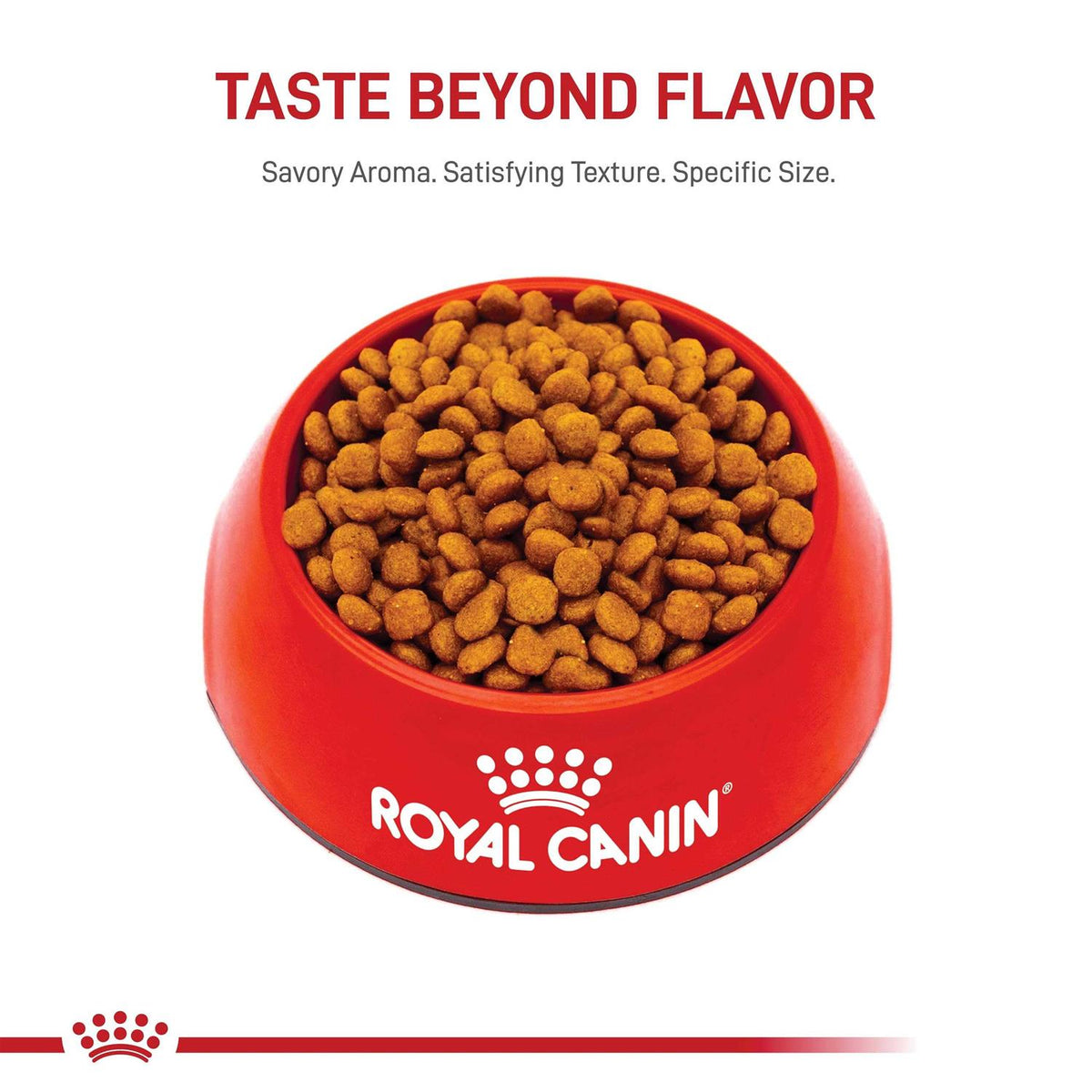 Dry Dog Food H52535