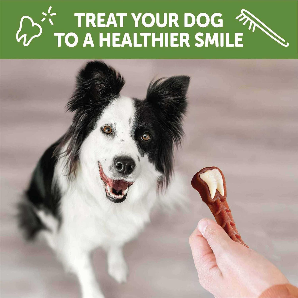 Dental Treats I55081