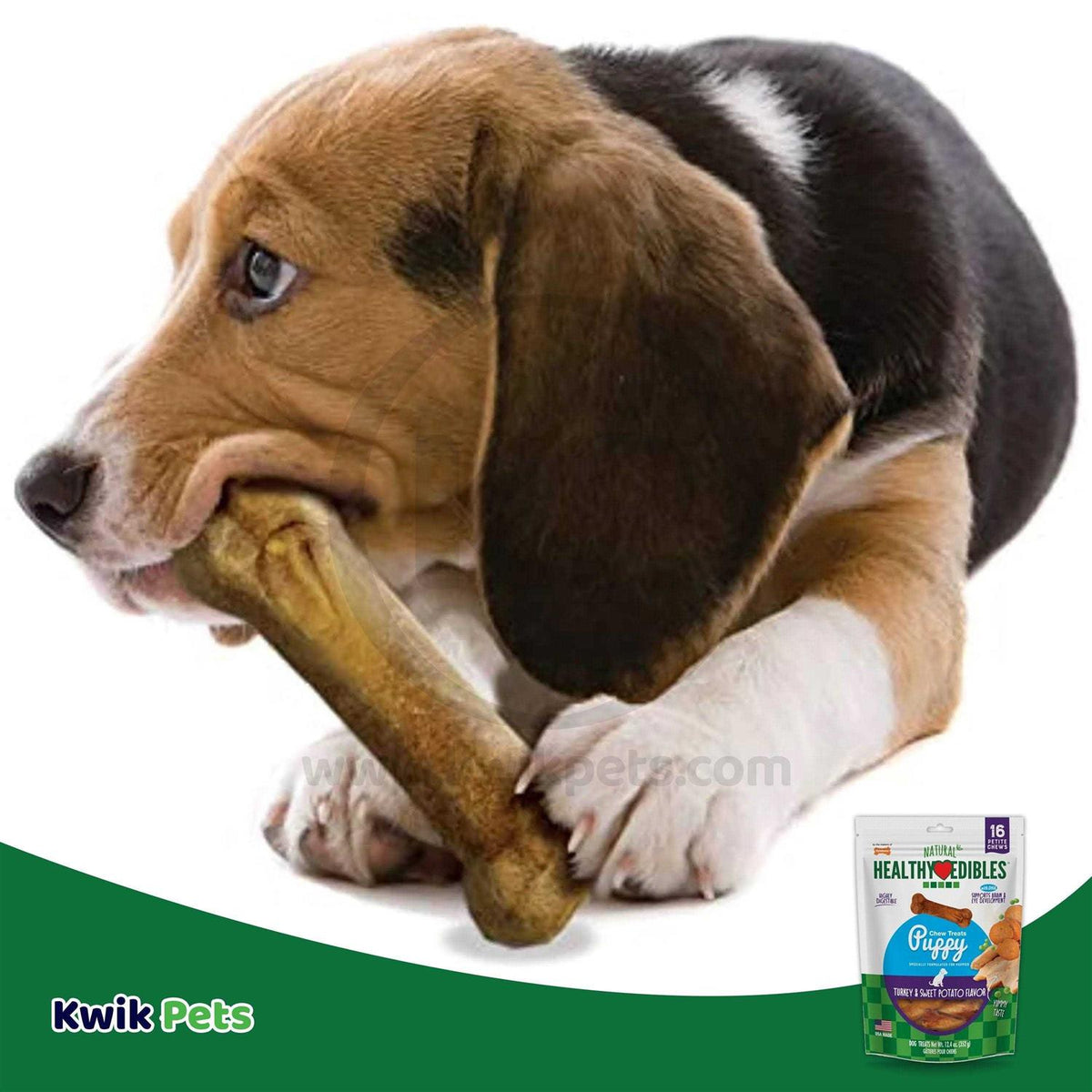 Puppy Chew Treats Turkey Sweet Potato J626