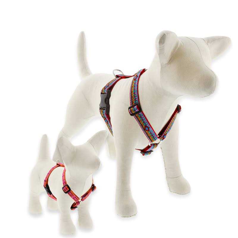 Dog Harness U42684