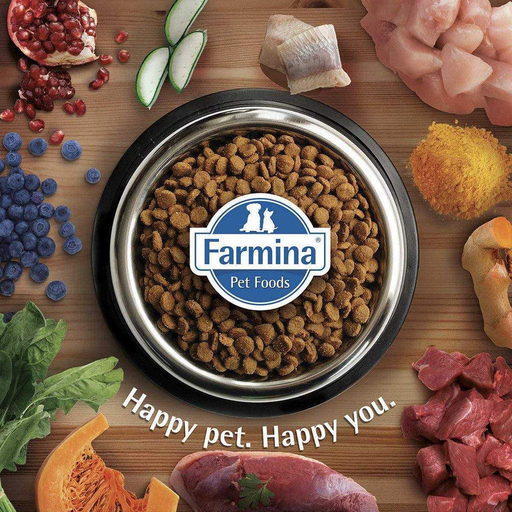 Pumpkin Boar & Apple Adult Dog Dry Food U868