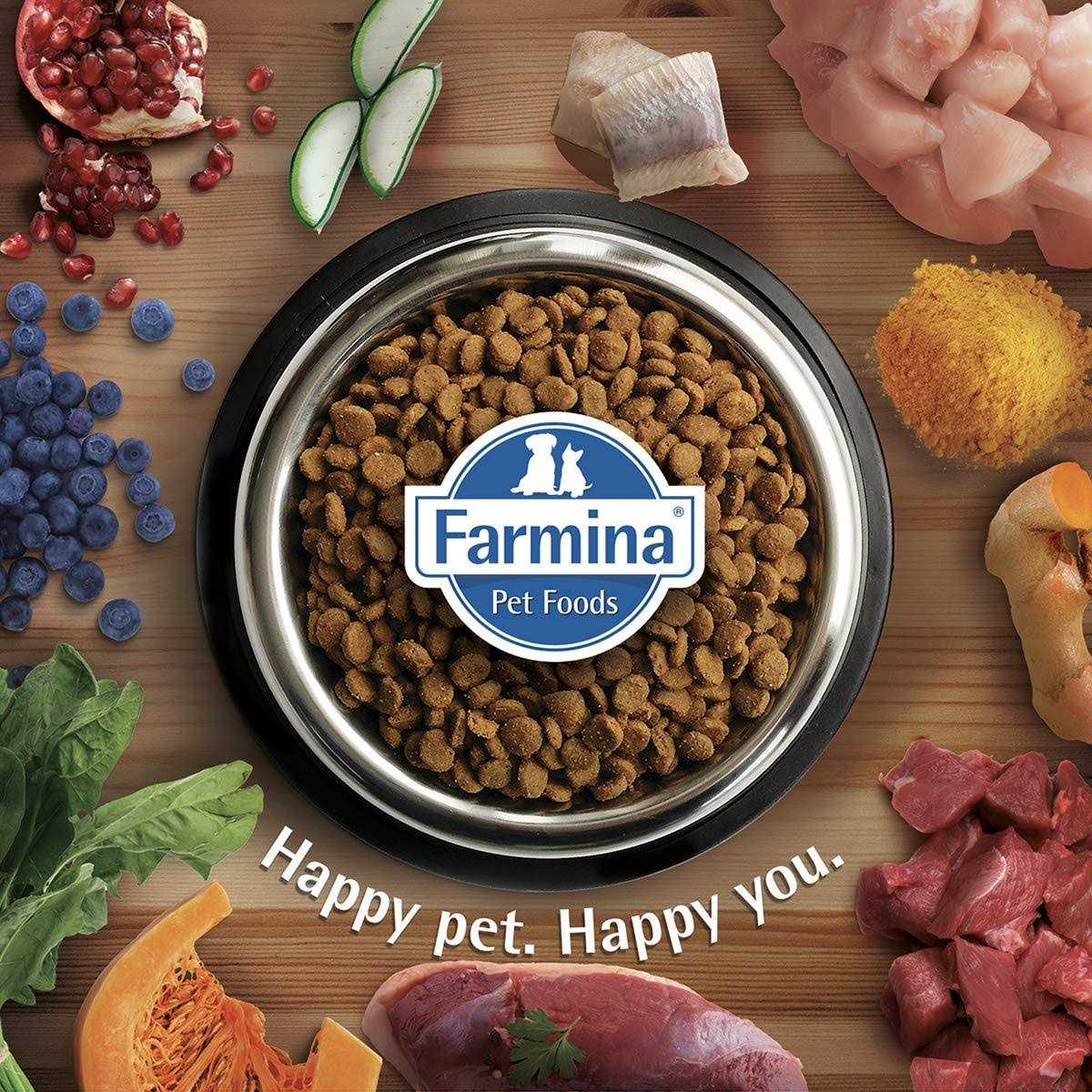 Pumpkin Boar & Apple Adult Dog Dry Food U868