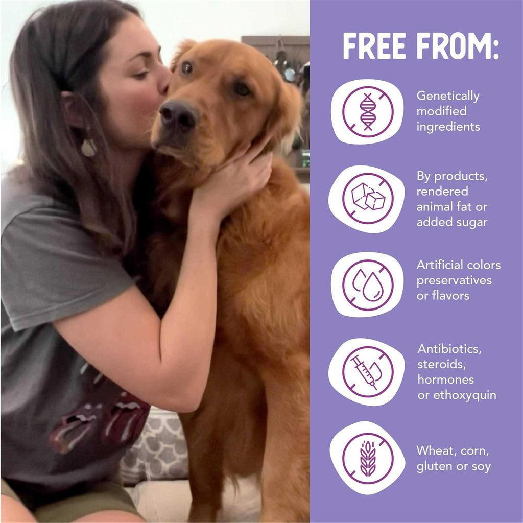 Chicken & Turkey Recipe Grain-Free Wet Puppy Food B186
