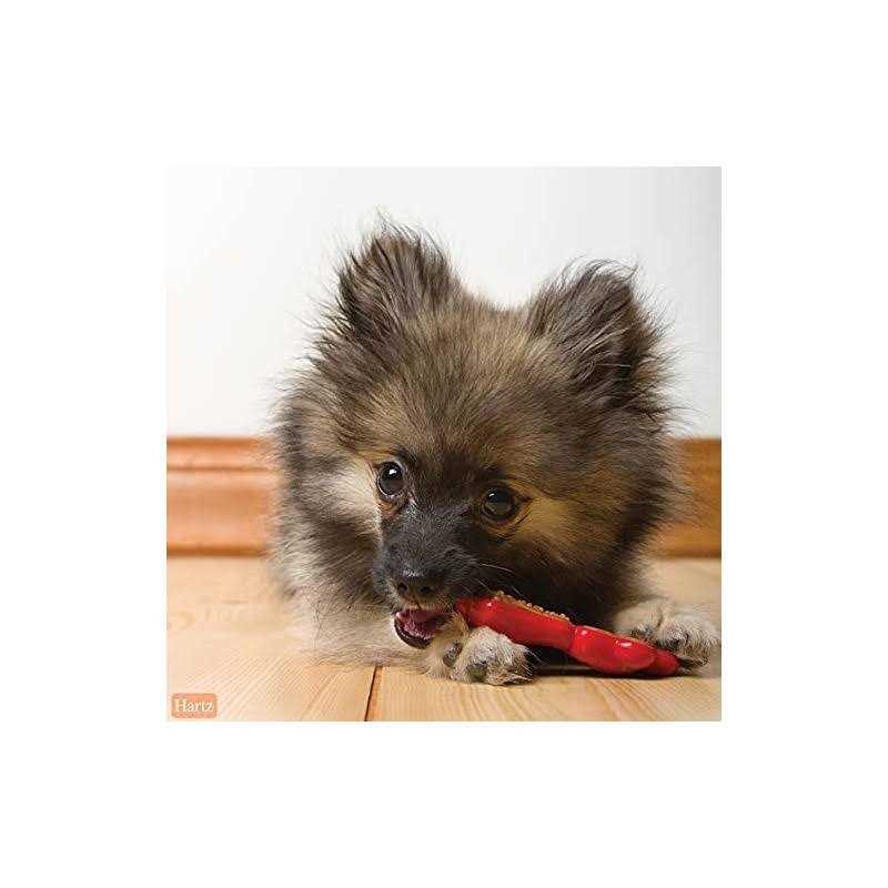 Dog Chew Toy Treat F31701