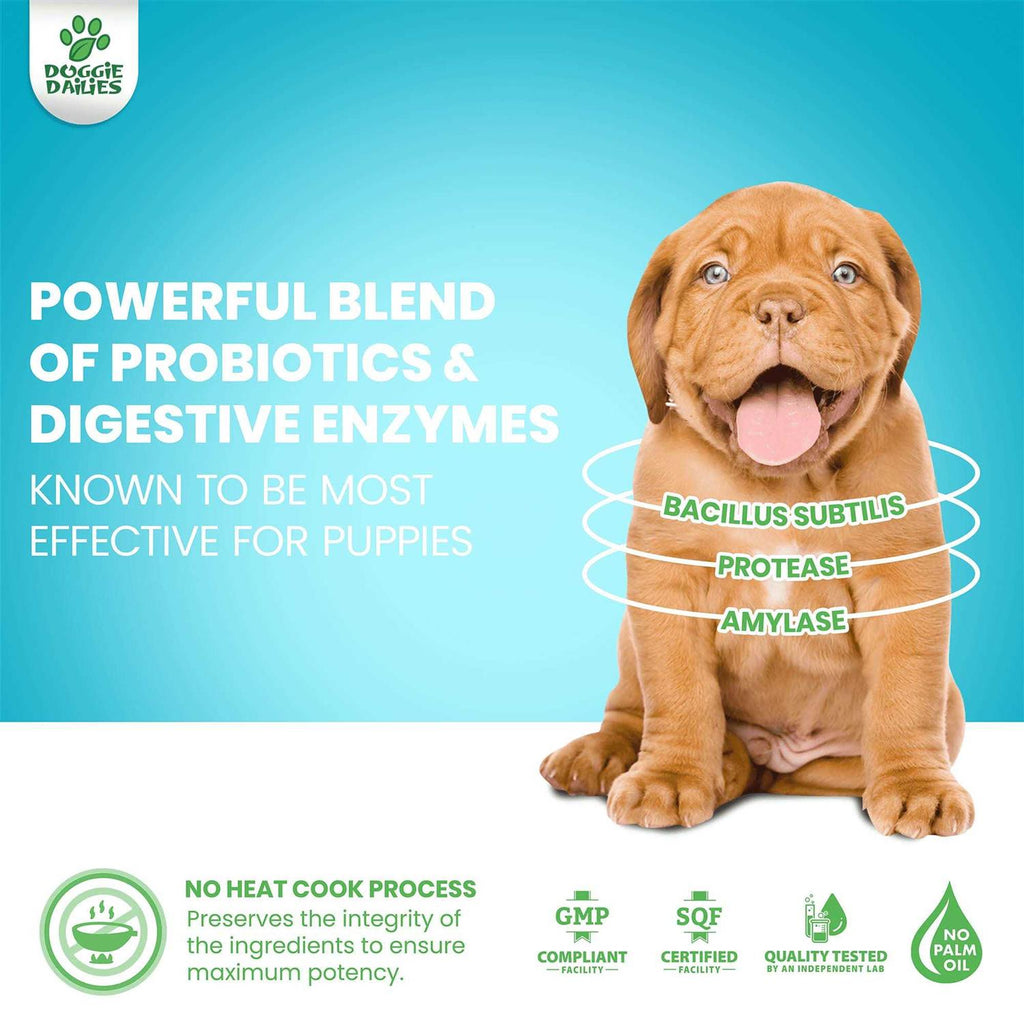 Puppy Probiotic with Digestive Enzymes G6748
