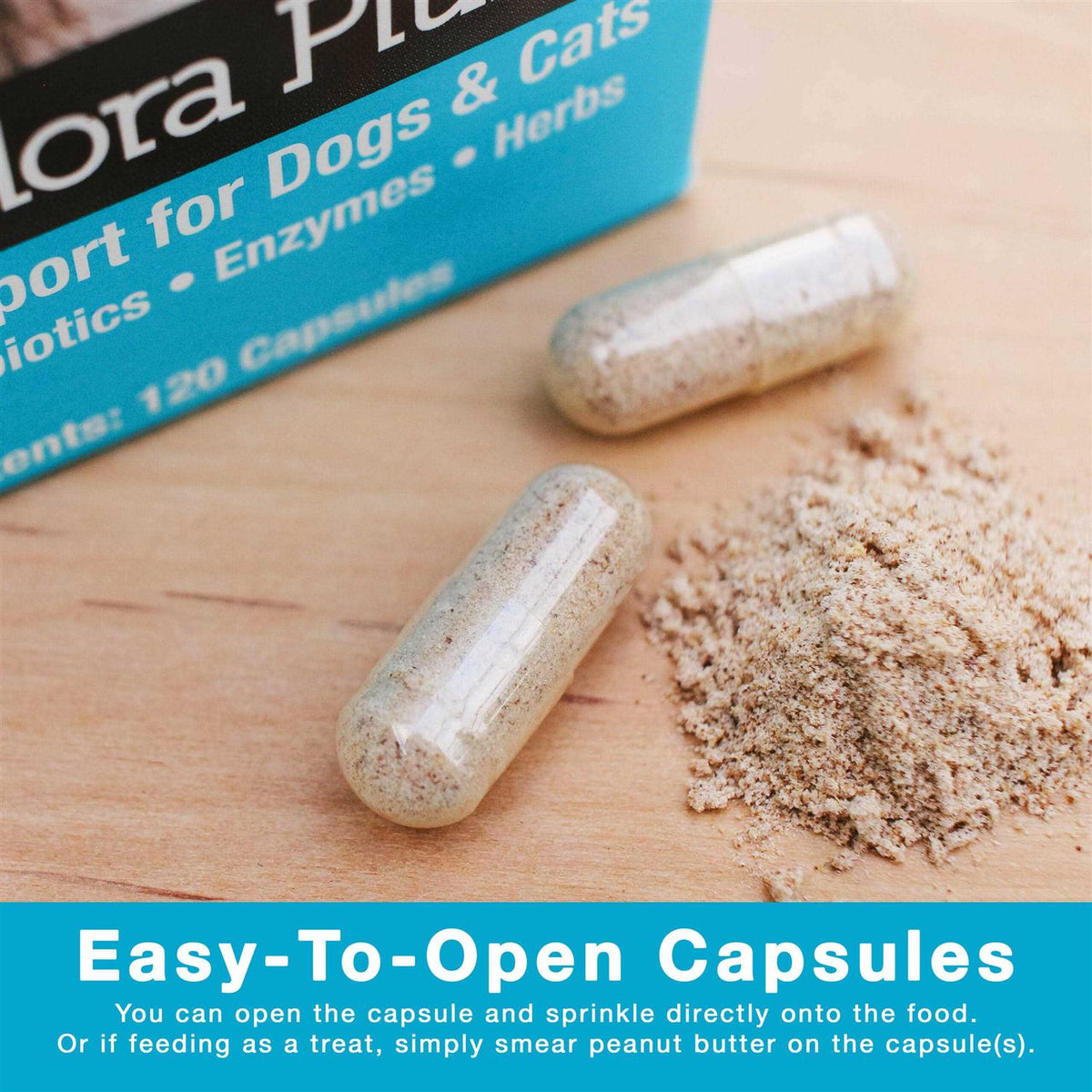 Microflora Plus for Digestion R319