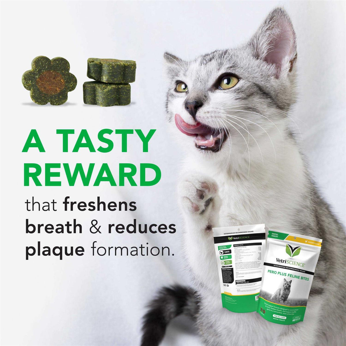 Feline Bites H81202