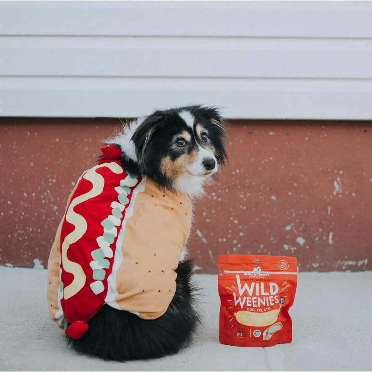 Freeze Dried Dog Treats T505