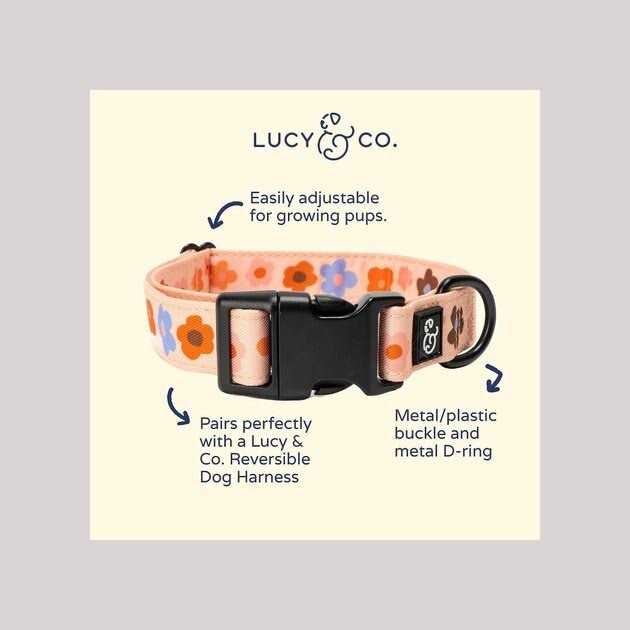 Adjustable Dog Collar L47006