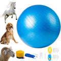 30 Inch Anti-Burst Horse Herding Ball with Pump W185674