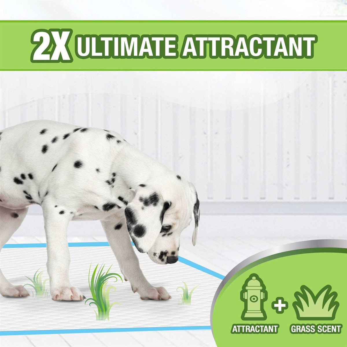 Scented Puppy Pads E4031