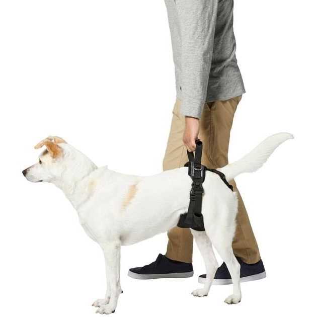 Handicapped Support Dog Harness R949886