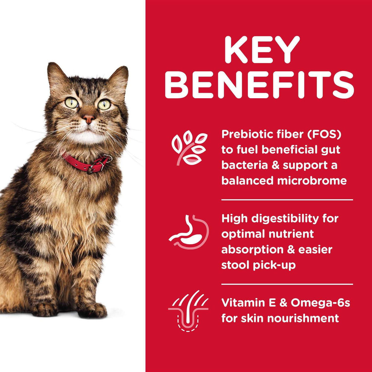 Sensitive Stomach and Skin Dry Cat Food C3975