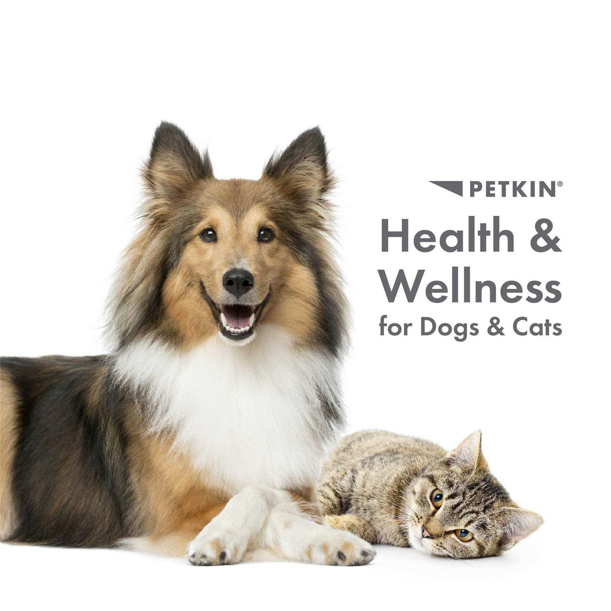 Fingertip Tooth Wipes for Dogs and Cats 50 Finger Wipes V149335