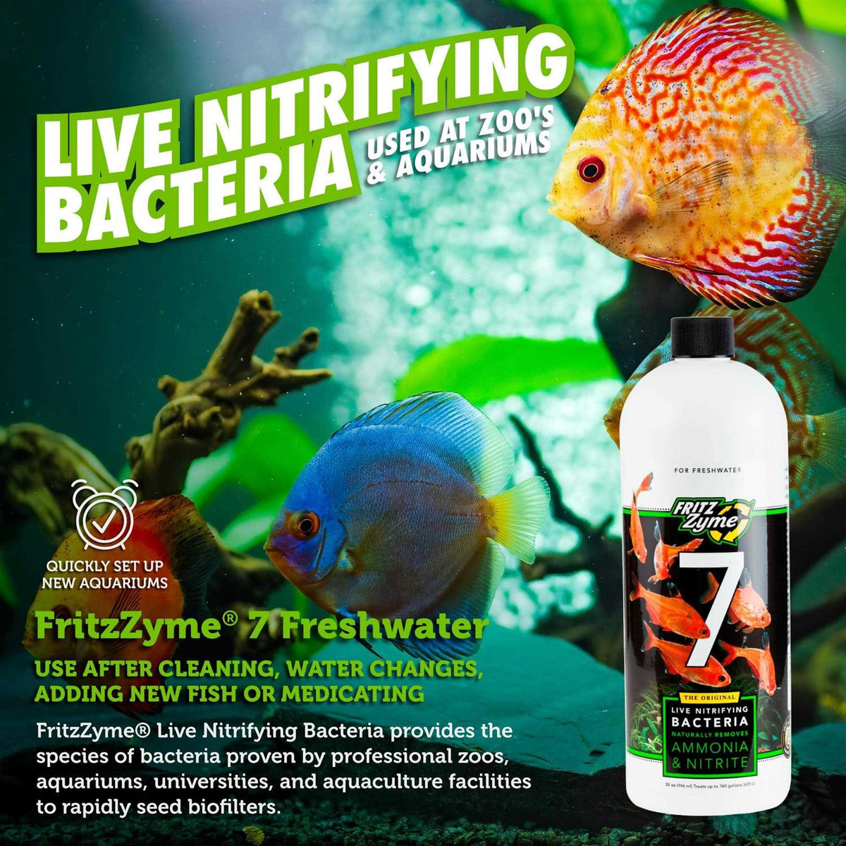 Freshwater Nitrifying Bacteria W3342