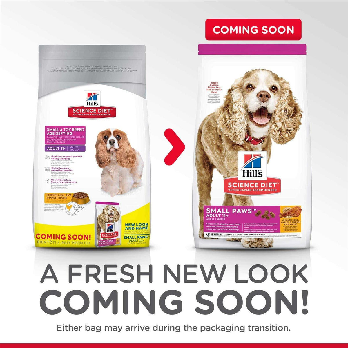 Small Dog Food K51704